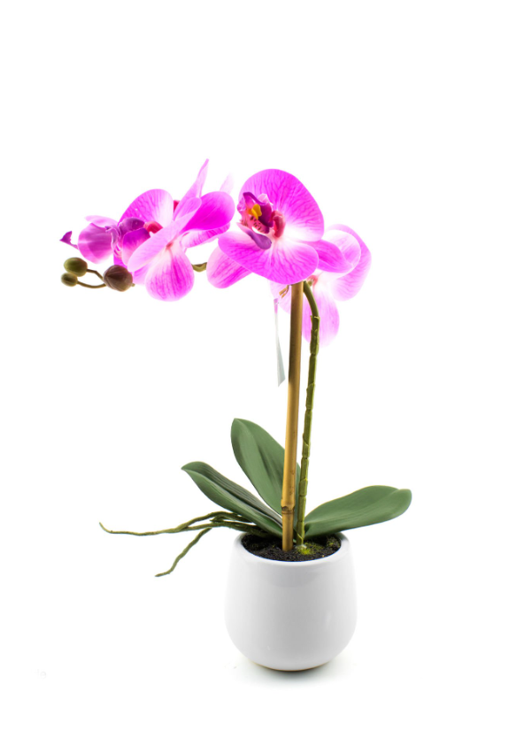 Mor Saksılı Orkide 38 cm